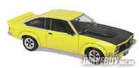 DDA Holden A9X Torana Hatchback 308 Factory 1/24